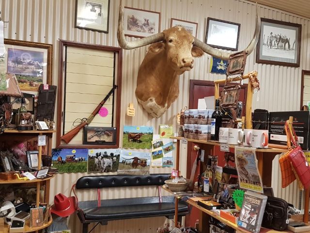 Texas Longhorn Tours - Shop